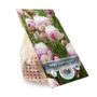 product-272364-1788553913-DEV01-0000027^2